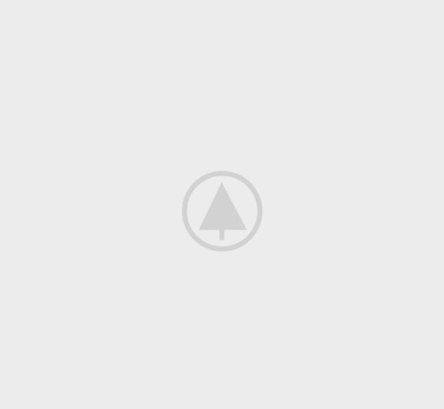 wood portfolio placeholder wood portfolio placeholder