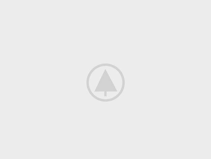 wood portfolio placeholder wood portfolio placeholder