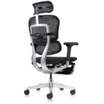 Rear view of Ergohuman Legpro Black ergonomic office chair highlighting breathable mesh back with flexible lumbar support, adjustable headrest height, and fold-out legrest storage.