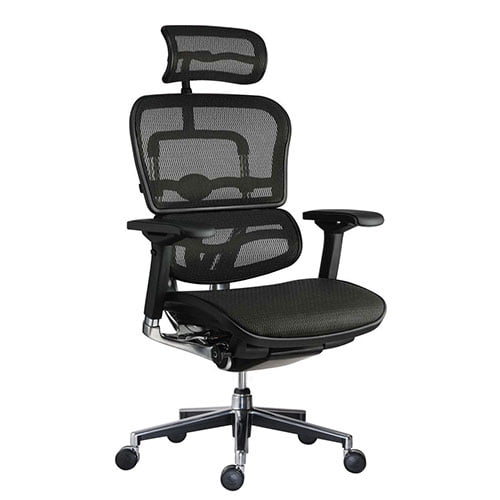 Ergohuman Ergonomic Chair | Office Chair