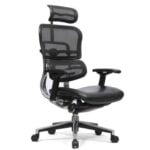 Ergohuman Leather Seat HB Chair