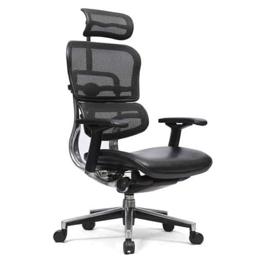 Ergohuman Leather Seat HB Chair