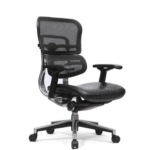 Ergohuman Leather Seat MB Chair | Office Chairs | Ample Seatings