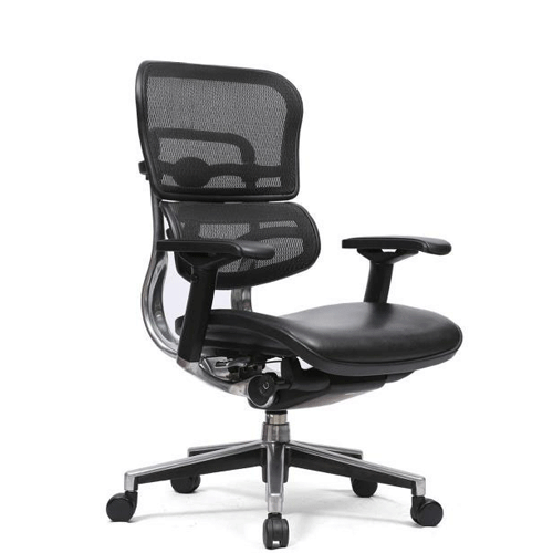 Ergohuman Leather Seat MB Chair | Office Chairs | Ample Seatings