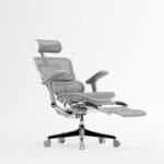 Ergohuman Legpro V2 Grey ergonomic office chair with 5D adjustable armrests, featuring a breathable mesh back, contoured seat, and advanced lumbar support, designed for optimal comfort and posture support.
