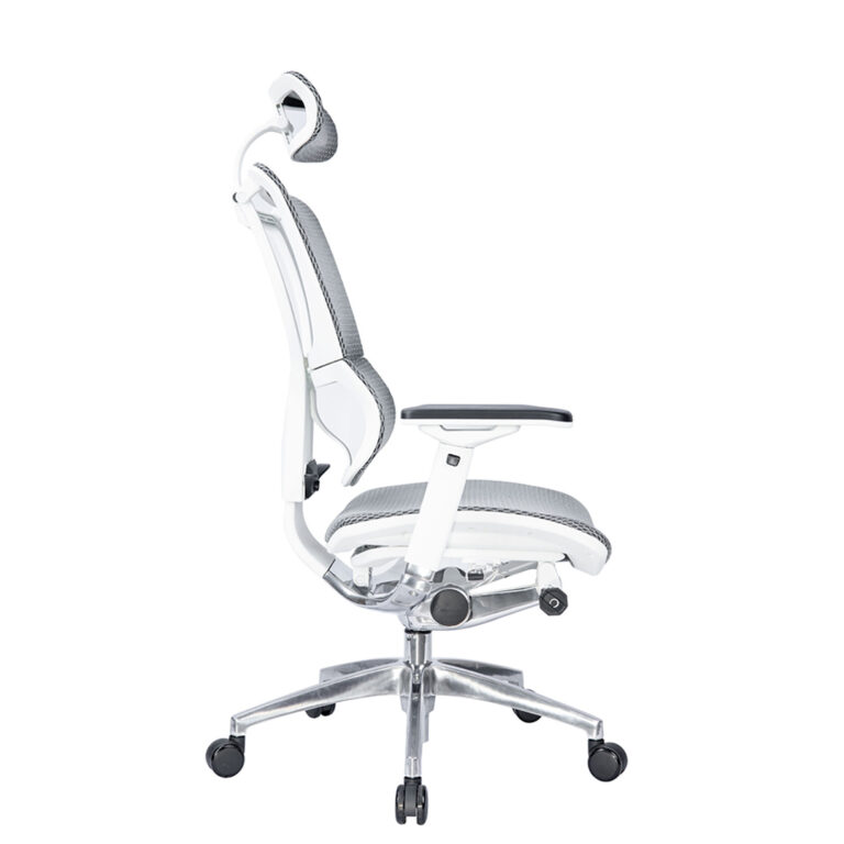 Buy Ergonomic Chairs Online At Reasonable Prices