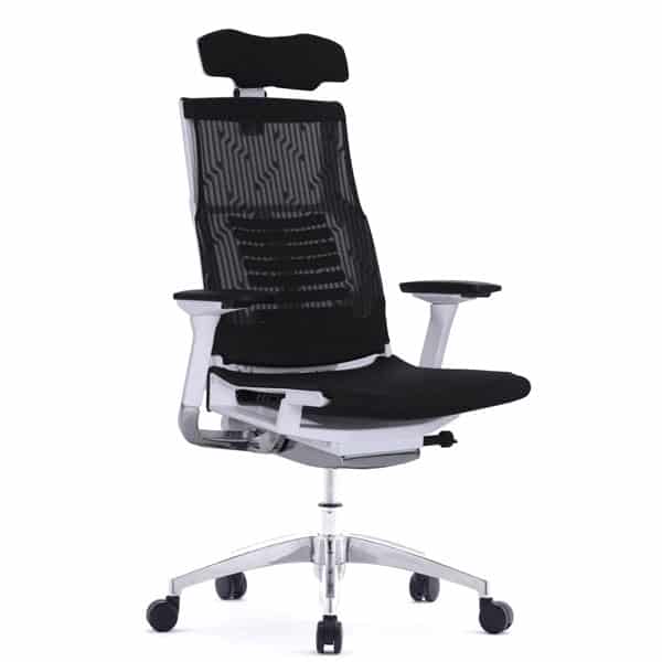 Pofit Ergonomic Chair | Office Chair | Ample Chair