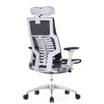 pofit ergnomic chair