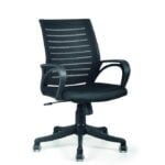 Ricci Low Back Chair