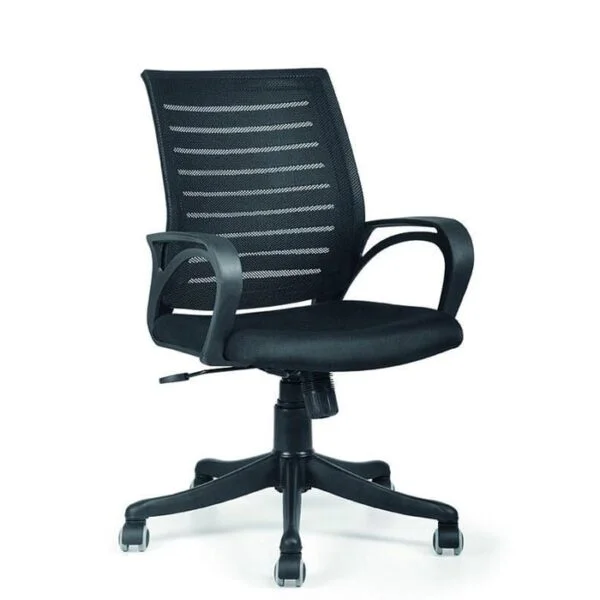 Ricci Low Back Chair