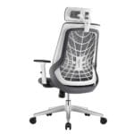 Spyder Chair with headrest