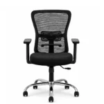 front view of zody medium back chair