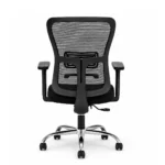 back view of zody medium back chair