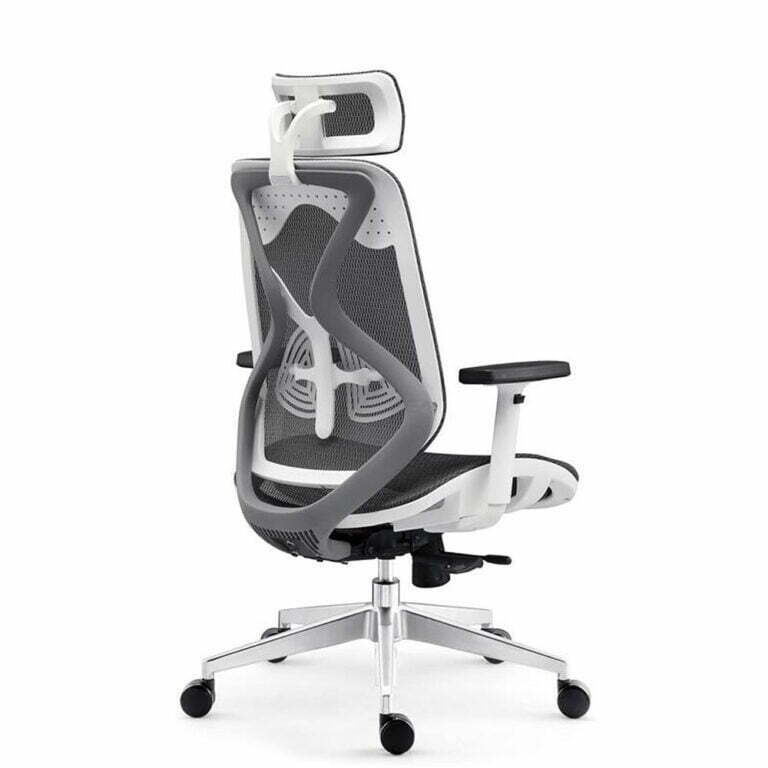 Buy Office Chairs Online At Lowest Offer Prices Ample Seatings