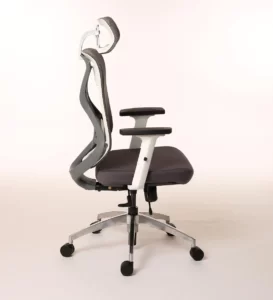 Office Chair India