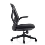 Petal Folding Arm Chair