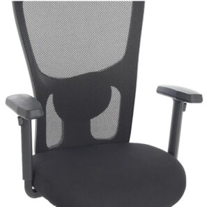 lumbar support