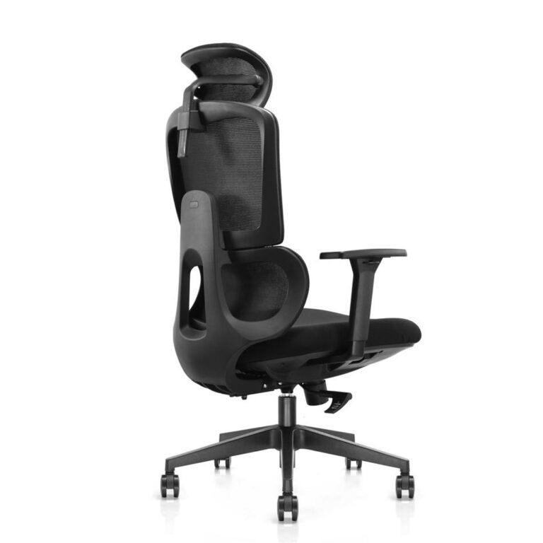 Buy Office Chairs Online at Best Price Ample Seatings