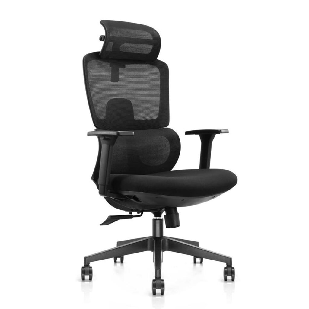 Buy Office Chairs Online at Best Price - Ample Seatings