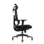 ergonomic office chair