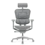 Ergohuman Mesh Grey HB Chair - Image 4