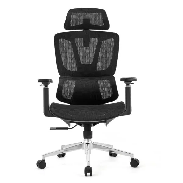 Venzo Ergonomic Office Chair featuring a breathable black mesh backrest, padded seat cushion, adjustable armrests with PU arm pads, lumbar support, and a sturdy 5-star base with rolling casters, set in a modern office environment.