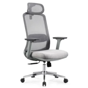 Front view of Nova ergonomic chair with beige seat, adjustable armrests, and padded lumbar support.