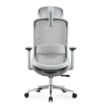 Rear view of Nova ergonomic chair with beige seat and contoured backrest design.