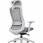 Titan Grey Mesh Ergonomic Chair Rear Angle View for Office and Workstation Use