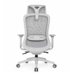 Titan Grey High Back Ergonomic Chair Back View with Ventilated Mesh Structure