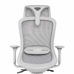 Titan Ergonomic Mesh Office Chair Grey Rear Focus View with Premium Back Support Design
