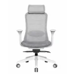 Titan Grey Ergonomic Office Chair Front View with Lumbar Support and Adjustable Armrests
