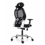 matrix ergonomic chair back angle view