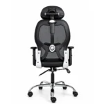matrix hb chair back view